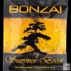 summer Boost Herbal Incense for sale